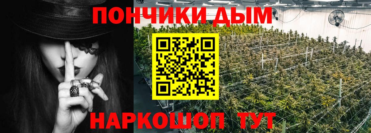 Марихуана ГИДРОПОН  Вход с VPN  Скопин  Конопля гибрид  Бошки марихуана семена 